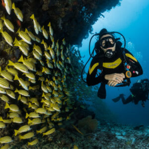 Scuba Diving Tour in Sri Lanka