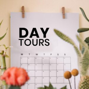 Enjoy A Day Tour In Sri Lanka