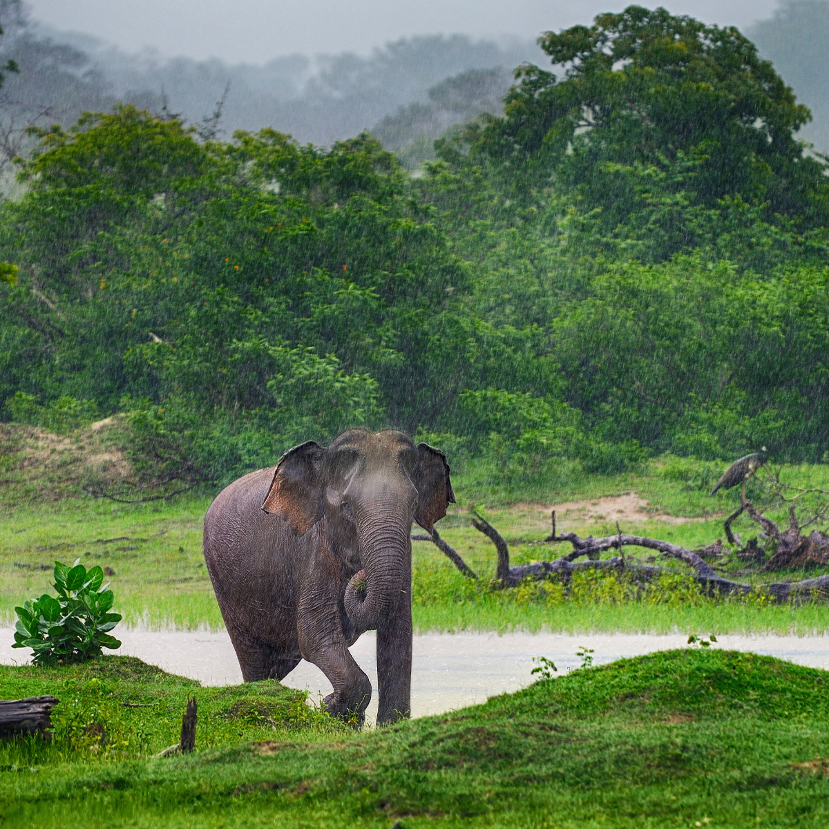 Great Exploration Tour - Image 5