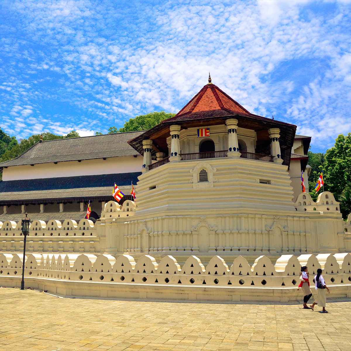 Great Exploration Tour - Image 9