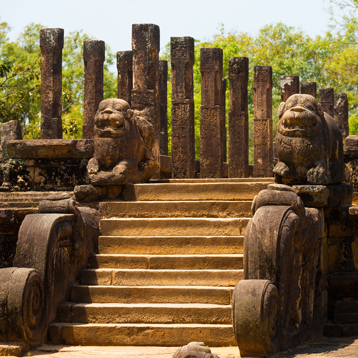 Great Exploration Tour - Image 8