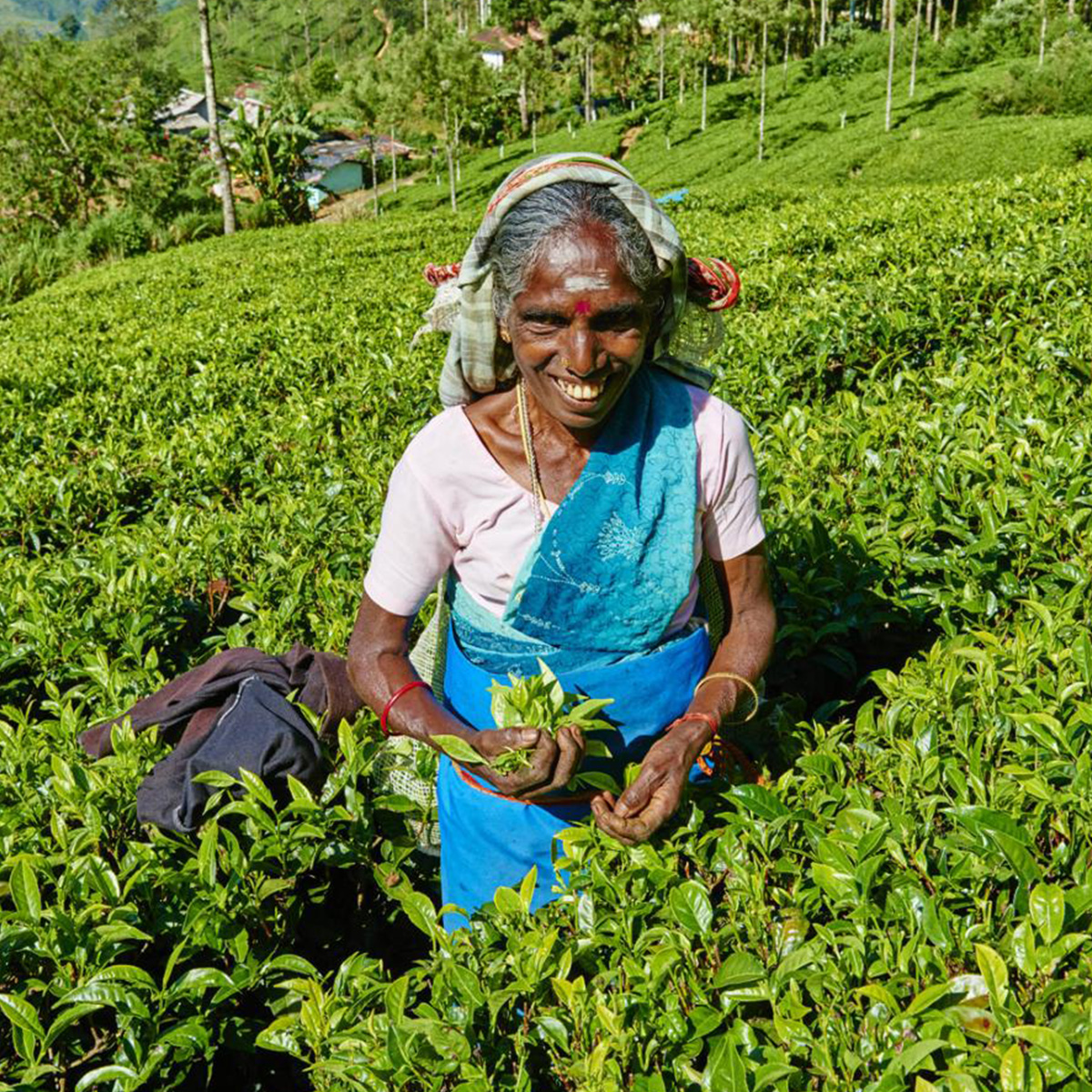 Great Exploration Tour - Image 3