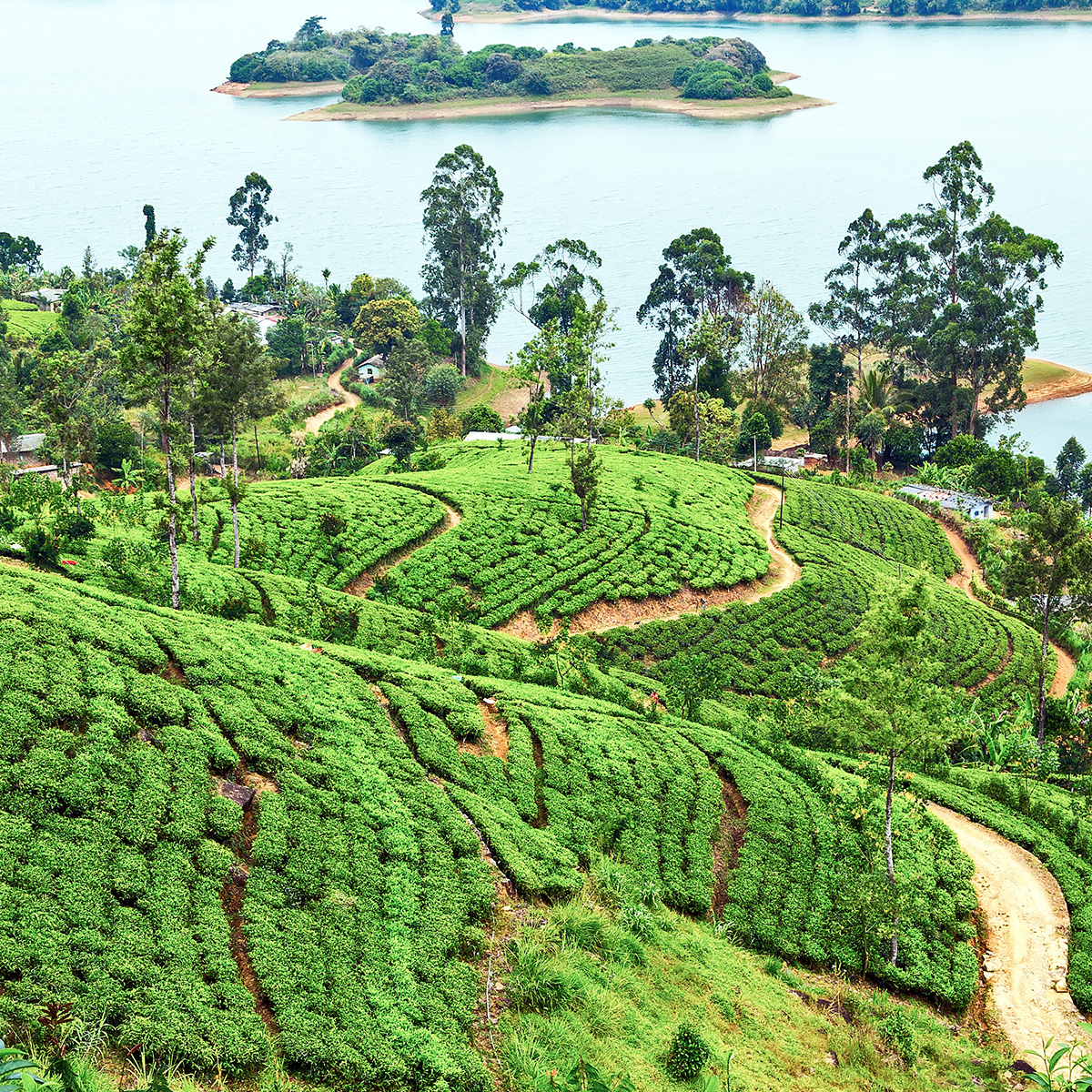 Great Exploration Tour - Image 2