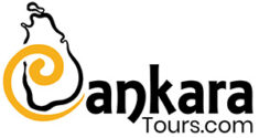 Lankara-tours-logo